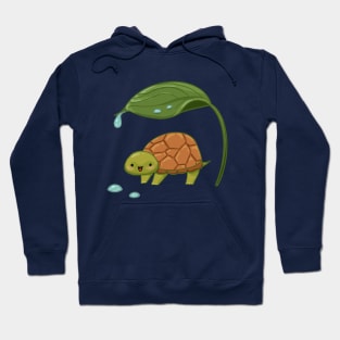 Little Leaf Turtle Hoodie